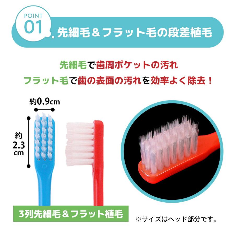 衛生用品 ハブラシ 個包装 コンパクトヘッド 先細 オーラルケア 6本
