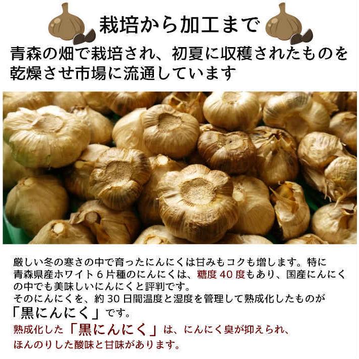 熟成黒にんにく 100g 3個組 青森県産 国産 日本 ニンニク 大蒜