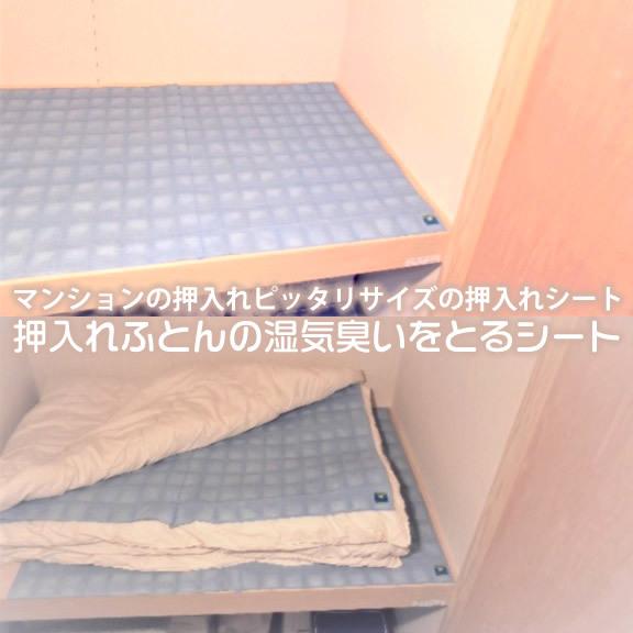 湿気取り B型シリカゲル 敷き布団 繰り返し可 ダニ カビ防止 押入れ