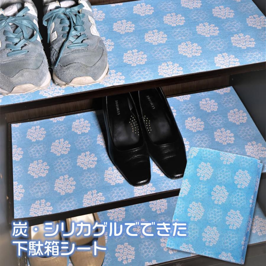 湿気取り 脱臭 活性炭 B型シリカゲル 下駄箱 ブーツ 靴 長期保管 炭
