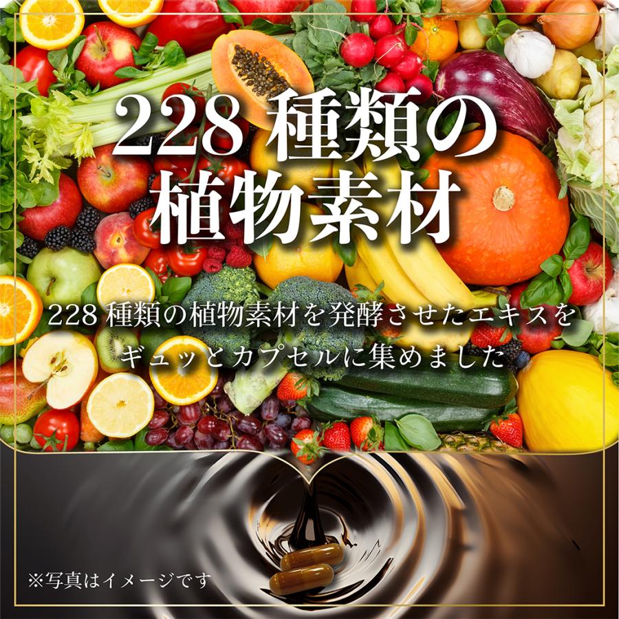 万田酵素 豊生 228種類の植物発酵エキス ダイジェザイム 穀物発酵