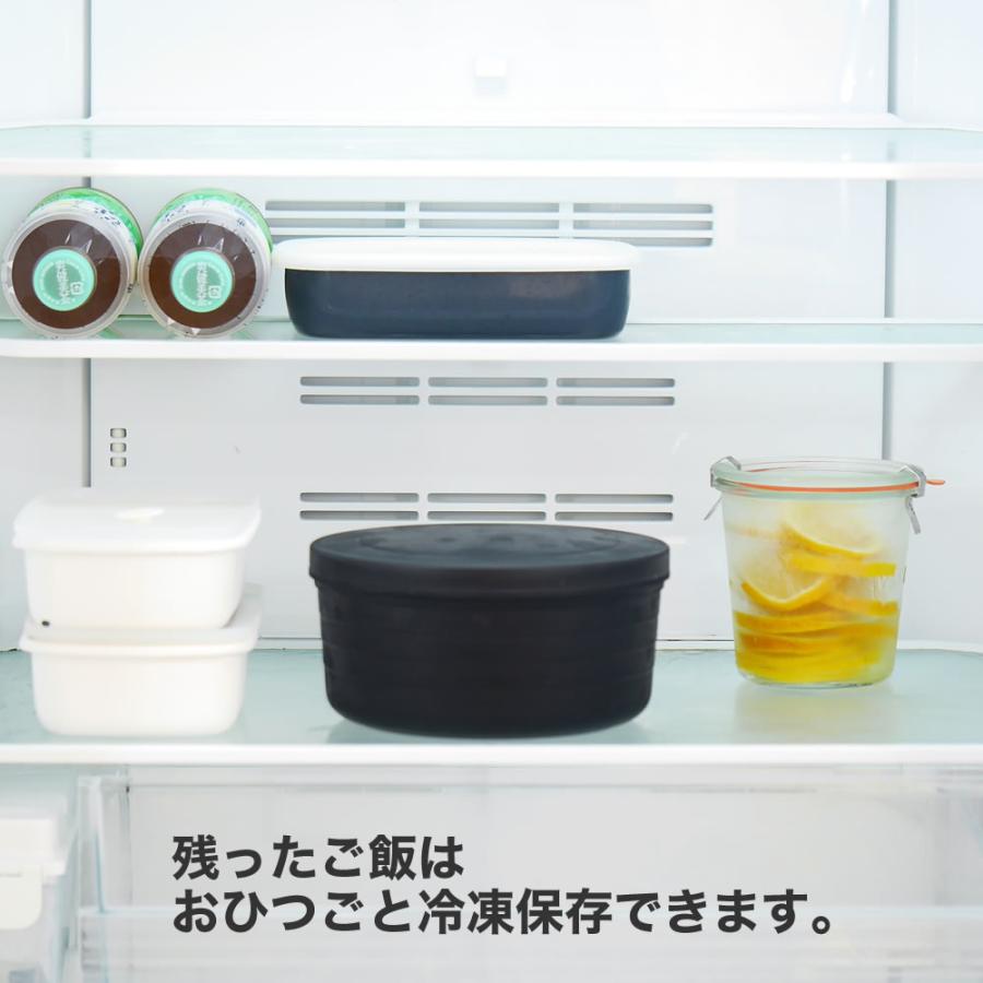 SUMINO いるだけお米たき 抗菌 電子レンジ用炊飯・保存容器 ご飯 冷凍
