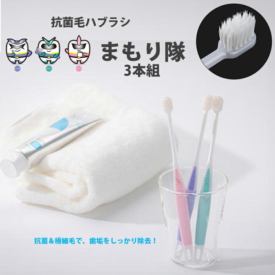 シケン ハミガキ はぶらし ふつう コンパクトヘッド 抗菌毛ハブラシ