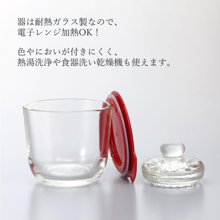 HARIO（ハリオ） ガラスの一夜漬け器 S レッド GTK-S-R 漬け物器 耐熱