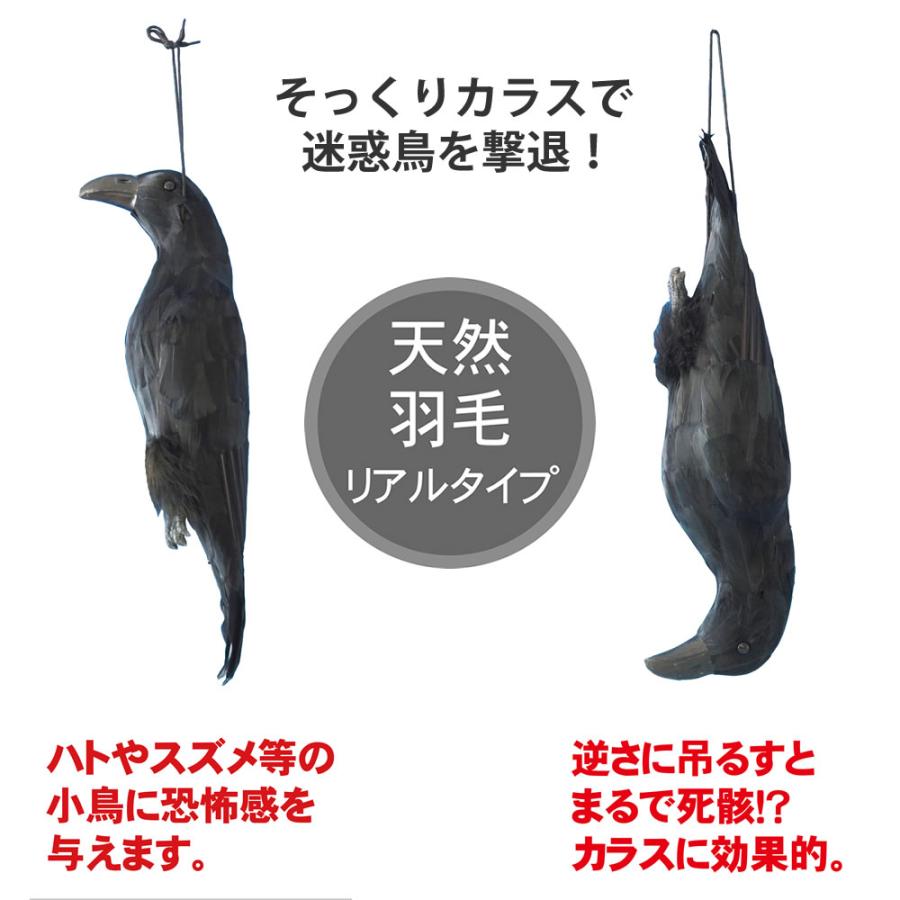 鳥除け イヤガラス 鳥獣対策 害獣対策 住宅 農作業 鳥害用品 カラスよ 