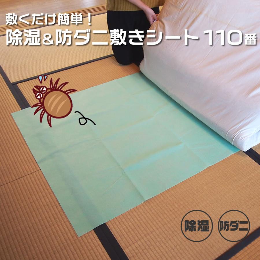 敷くだけ簡単 除湿＆防ダニ敷きシート110番 カーペット 押入れ 布団