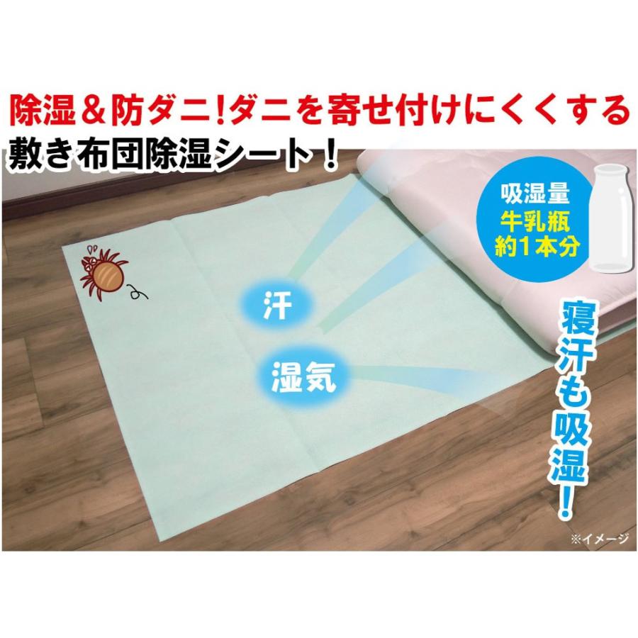 半額！POLA♡ダニ除け除湿敷きマット（押入れ・収納用）2枚セット 敷くだけ簡単 除湿＆防ダニ敷きシート110番 カーペット 押入れ 布団