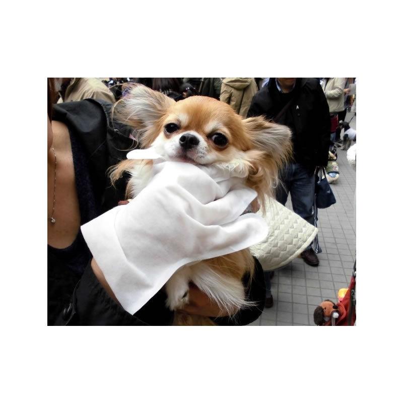 トリートメントグローブ30枚入 犬 いぬ イヌ 猫 ネコ ねこ 水なしシャンプー ぺっと シャワー手袋 シャワ 耳掃除 毛玉ケア ペット お手入れ スーパーセール トリートメント