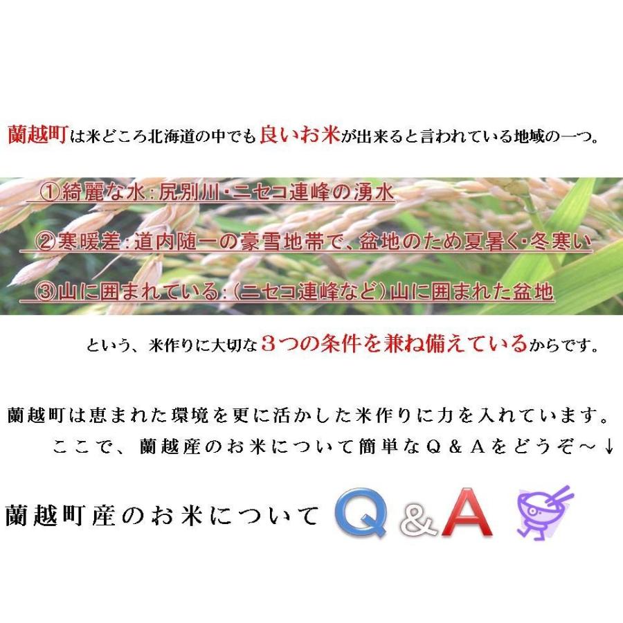 ゆめぴりか 北海道産 5kg×12回 国岡米 蘭越産 献上米 産地直送 令和5年度 5kg×12回 定期