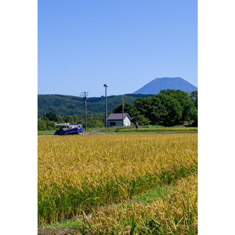 ゆめぴりか 北海道産 5kg×12回 国岡米 蘭越産 献上米 産地直送 令和5年度 5kg×12回 定期