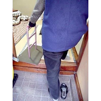 送料無料 立ち上がり補助器具介護用手すり 立つ之助 ・元気2 安心