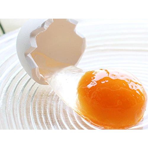 食品サンプル キーホルダー 生卵 面白さに誰もがトリコ この瞬間が食品サンプルに おもしろ雑貨 Maruショップ 通販 Yahoo ショッピング