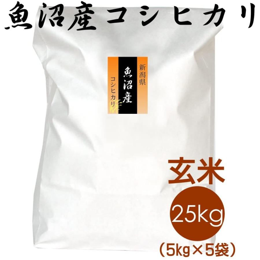 今月限定 特別大特価 お見舞い品のお返しに魚沼産コシヒカリ 玄米 25kg 5kg 5袋 病気 交通事故で入院したお見舞い品のお返しなどに 新作モデル Blog Lonolife Com