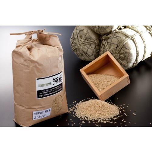 メーカー包装済 令和元年度産玄米 山口県産 こしひかり 穂垂米 30kg アウトレット送料無料 Orientalweavers Com