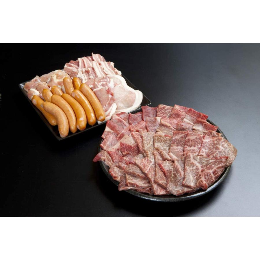 特売 肉質にこだわった プレミアム贅沢バーベキューセット 10人前 3 5kg 驚きの値段 Easycelltogo Com