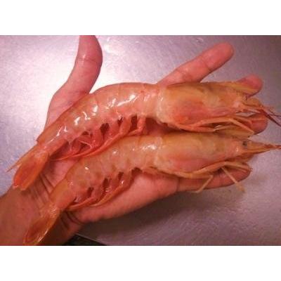 第1位獲得 アルゼンチン赤えび 10 サイズ 2kg 冷凍 Arbumasa 2箱 最新の激安 Kuljic Com