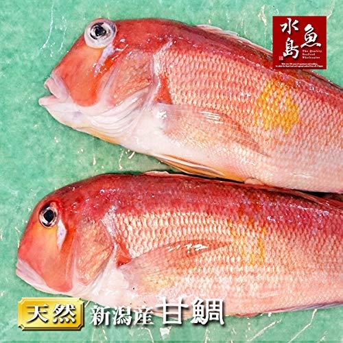 魚水島 新潟産 天然 甘鯛 アマダイ グジ 1 500g以上 2尾 生冷凍 Maruショップ 通販 Yahoo ショッピング