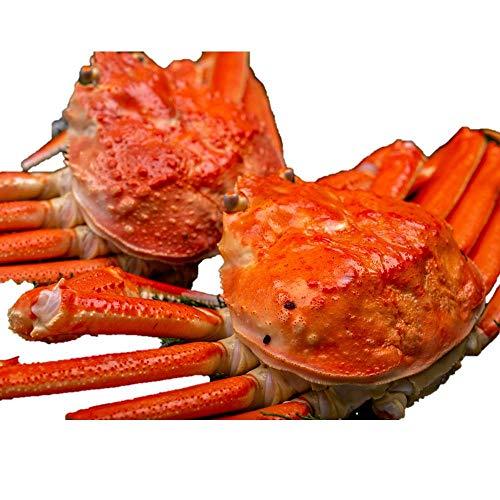 正規通販 プレミアム級ズワイガニを堪能 本ズワイガニ 姿 800g 3尾 カニ ボイル 北海道加工 ロシア産 1尾で圧巻の800g ズワイガニ 冷凍 カニ