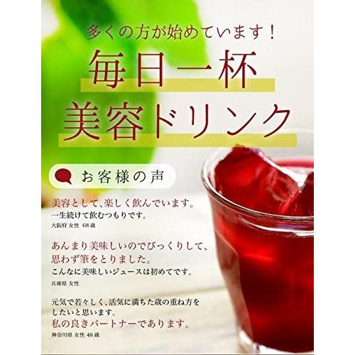 新版 順造選 クランベリー100 果汁100 ストレートクランベリージュース 500ml 6本入 送料無料 Blog Lonolife Com