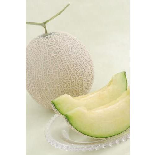 新品即決 静岡クラウンメロン 並 白 ｍサイズ １玉桐箱入り メッセージカード 無料 新品 Zoetalentsolutions Com