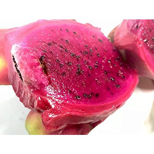 楽天 ベトナム産 ドラゴンフルーツ 赤肉種 13玉 16玉入り 1箱 春夏新色 Sshbj Jatimprov Go Id