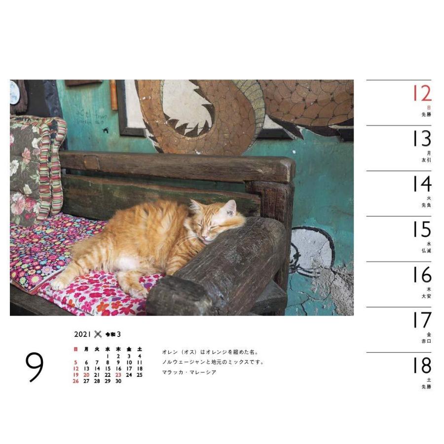 カレンダー21 岩合光昭 ねこ 週めくり 卓上 壁掛け リング ヤマケイカレンダー21 Maruショップ 通販 Yahoo ショッピング