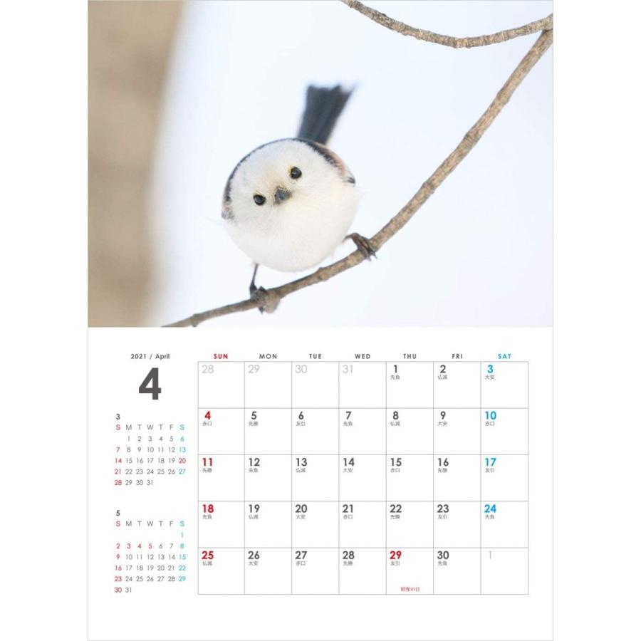 ぼく シマエナガ 21 壁掛け カレンダー Maruショップ 通販 Yahoo ショッピング
