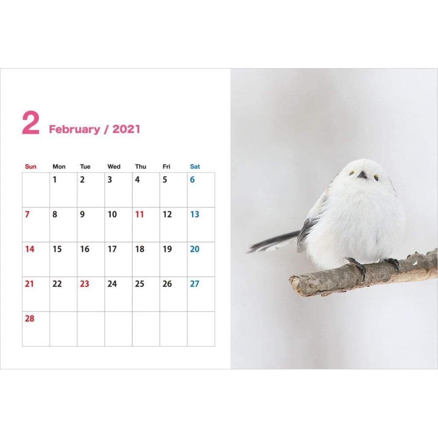 空飛ぶ豆大福 きょうもシマエナガがかわいいね 21 卓上カレンダー Maruショップ 通販 Yahoo ショッピング