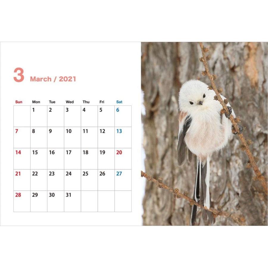 空飛ぶ豆大福 きょうもシマエナガがかわいいね 21 卓上カレンダー Maruショップ 通販 Yahoo ショッピング