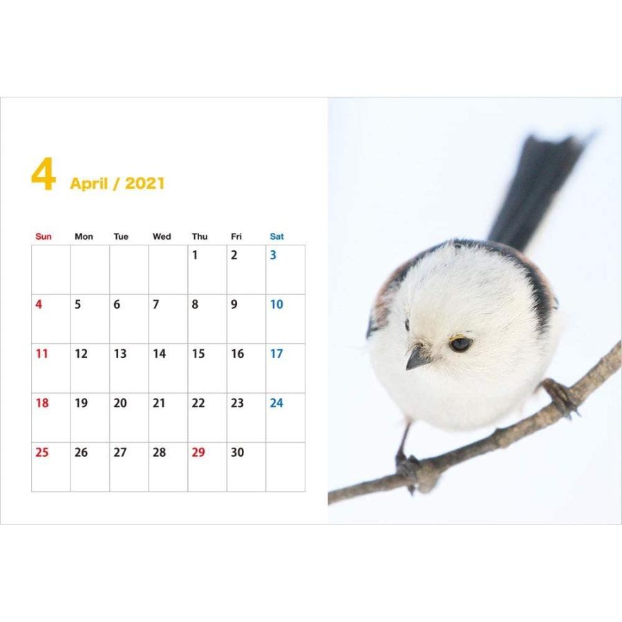 空飛ぶ豆大福 きょうもシマエナガがかわいいね 21 卓上カレンダー Maruショップ 通販 Yahoo ショッピング