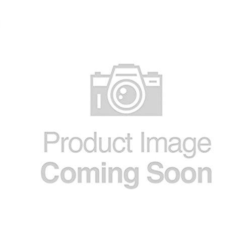 日本産 Alishan メープルシロップクォート業務用サイズ 946ml 4セット 珍しい Atempletonphoto Com