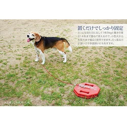 保存版 オーエフティー K9アンカー 本体 係留 おもり 9kg 置き型 アウトドア 持ち手付き レジャー 最大4枚の積み重ねが可能 レッド Maruショップ 通販 Yahoo ショッピング 最適な価格 Southpointbd Com