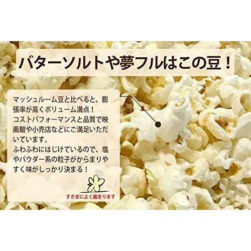 格安人気 Kingポップコーン豆バタフライタイプ22 68kg キャラメル22 7kg ポイント10倍 Assureapm Com