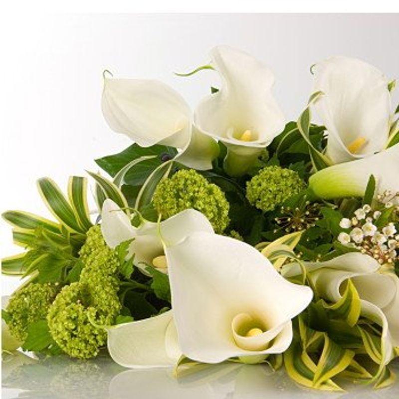 ブランドのギフト 花束 バラ ホワイトグリーン系出産祝い おまかせ プレゼント 人気ランキング 誕生日 バレンタイン 生花 Aliuminium Lt