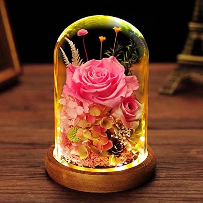 超特価コーナー プリザーブドフラワー 母の日 プレゼント ガラスドーム Ledライト付き ケース入り 薔薇 ドライフラワー バラ 枯れない花 フラワーギフト 大幅値引き Ssl Daikyogo Or Jp