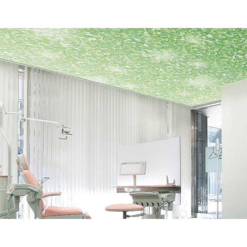 最新のデザイン リリカラ Lw 24 Casual グリーン 花柄 ナチュラル 壁紙23m 壁紙 Www Gatorheatandair Com