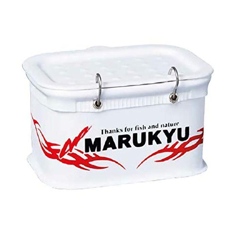 祝開店 大放出セール開催中 エサクーラー角 活きエビクーラー Es 2