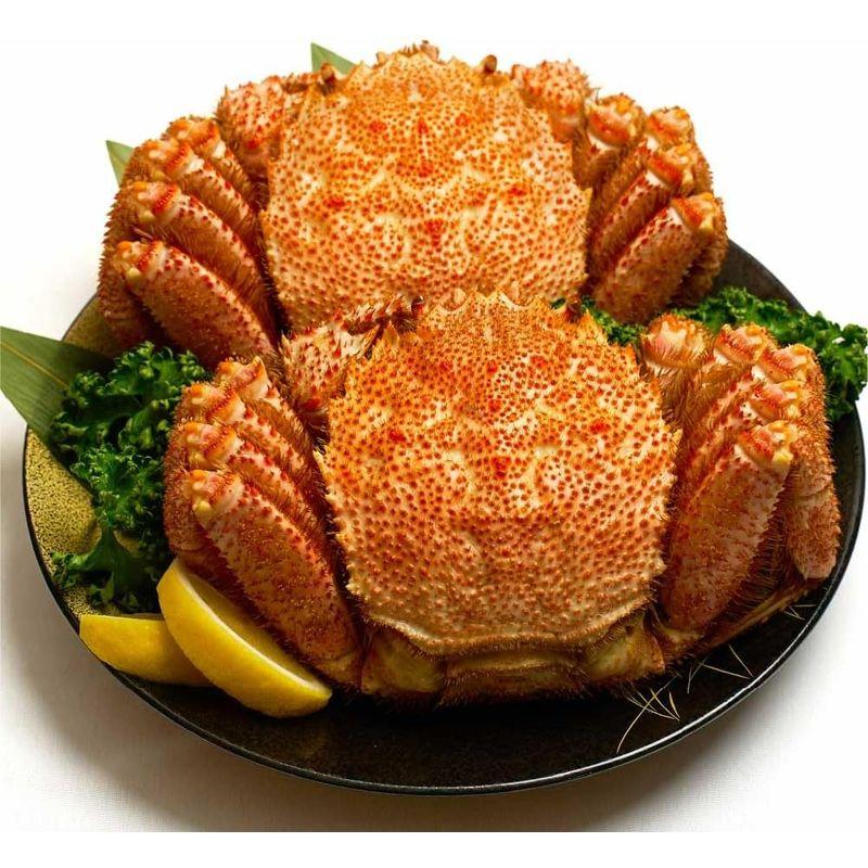 お中元 御中元 ギフト 丸市岡田商店 お歳暮 北海道産 特大 毛蟹