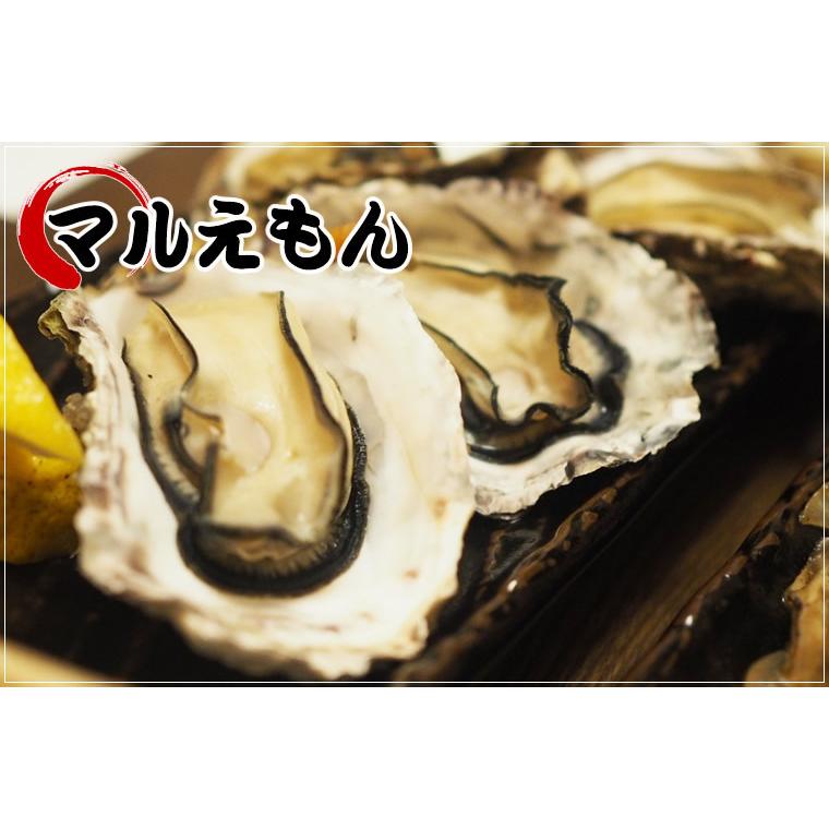 マルえもん(2Lサイズ)10個セット 北海道産 牡蠣 カキ 殻付き 生食 父の日 ギフト 送料無料｜marumasa-hokkaido｜02