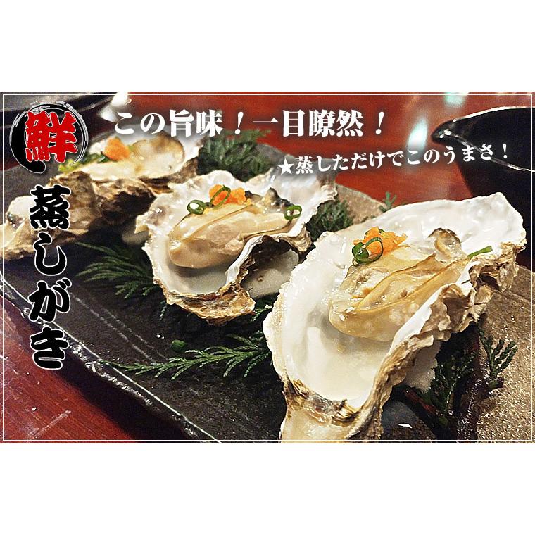 マルえもん(2Lサイズ)10個セット 北海道産 牡蠣 カキ 殻付き 生食 父の日 ギフト 送料無料｜marumasa-hokkaido｜03