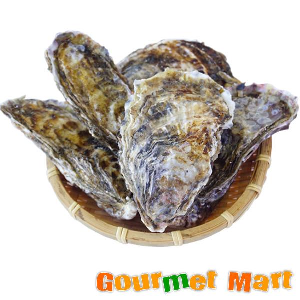 かき 牡蠣 殻付き 厚岸 マルえもん(3Lサイズ)30個セット 北海道産 カキ 生食 北海道直送 通販 道産品 お土産 送料無料 父の日 ギフト