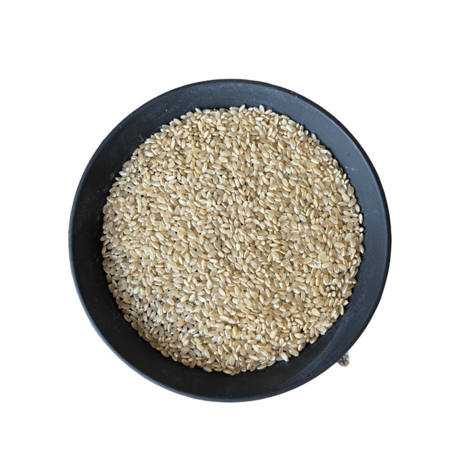 あきたこまち玄米30kg】新米 令和7年度 埼玉県産 あきたこまち 玄米