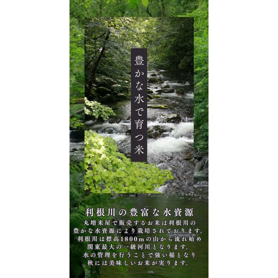 丸増【コシ白5】 大粒米 新米 令和7年産 埼玉県産 コシヒカリ 白米 5kg