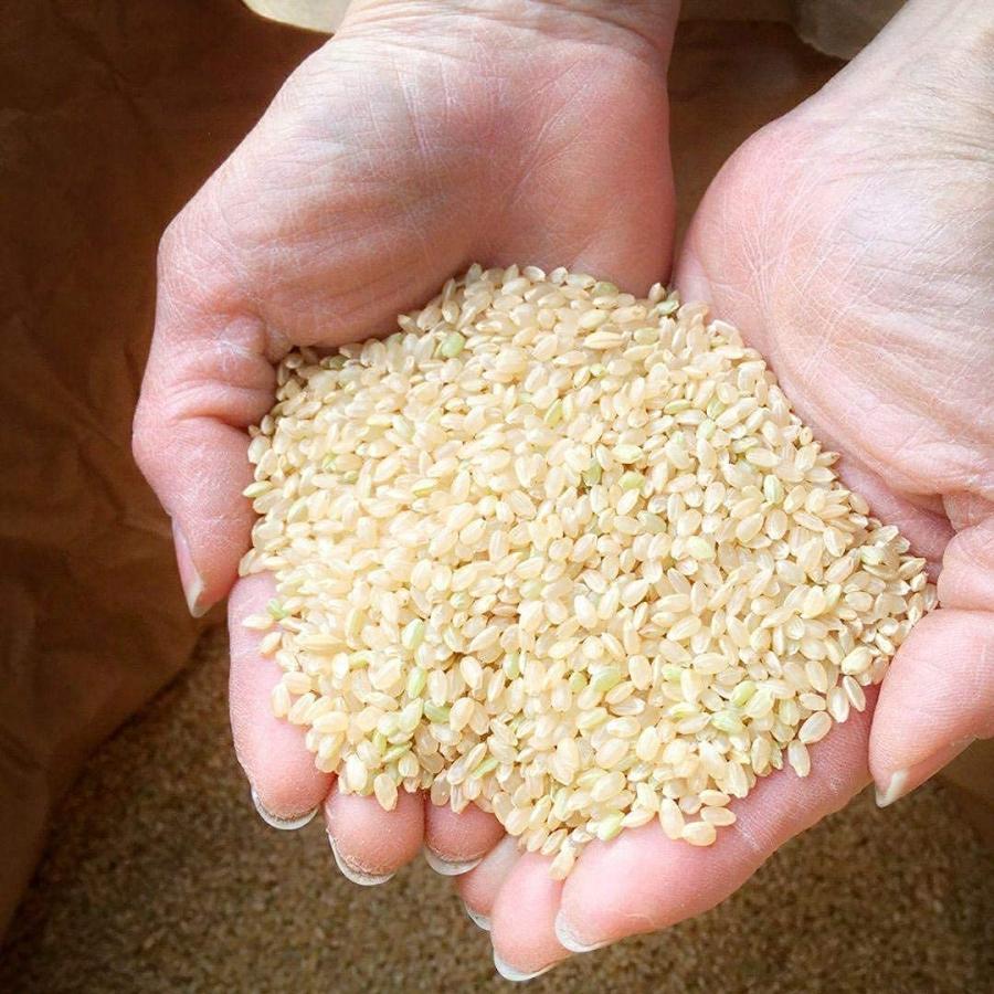 コシヒカリ 丸増【コシ白27】新米 産地直送！令和7年産 埼玉県産