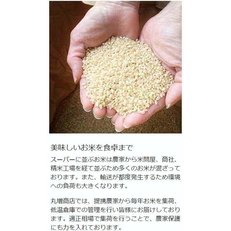 丸増【コシ白5】 大粒米 新米 令和7年産 埼玉県産 コシヒカリ 白米 5kg