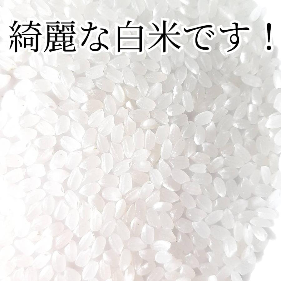 白米5kg】 新米 大粒米 令和7年度 埼玉県産 彩のきずな 白米 5kg 1袋