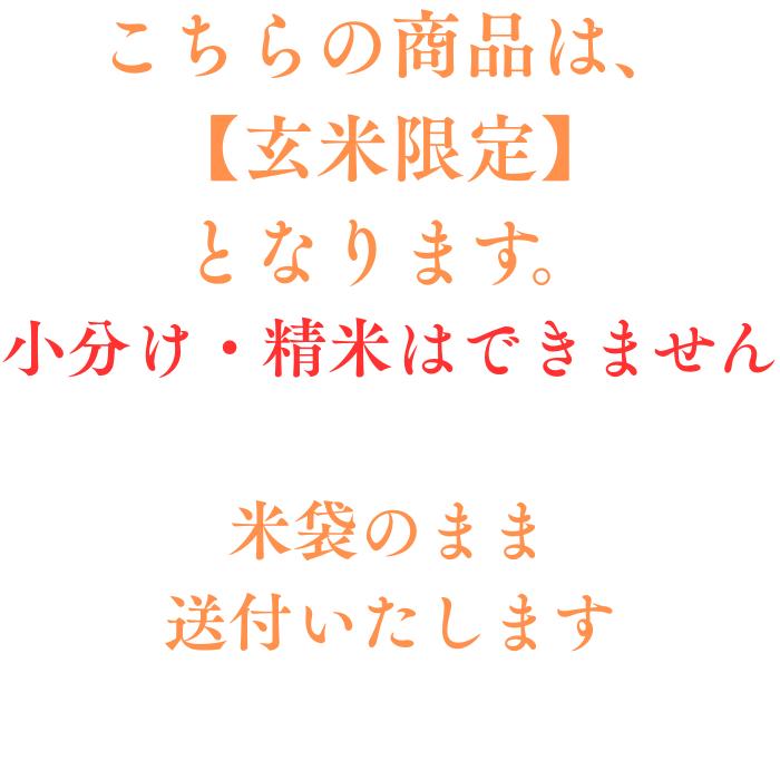 にじのきらめき玄米30kg】新米 令和7年度 埼玉県産 にじのきらめき