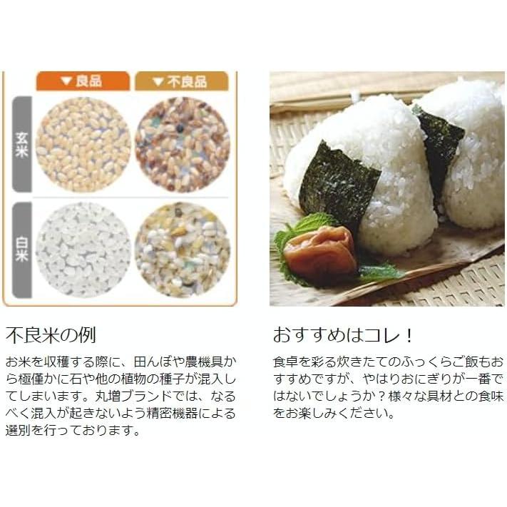 白米10kg】 新米 大粒米 令和7年度 埼玉県産 彩のきずな 白米 10kg 2袋