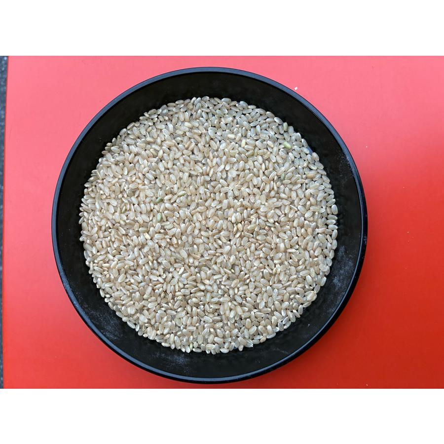 にこまる玄米30kg】新米 お米 令和7年度 埼玉県産 にこまる 玄米 30kg