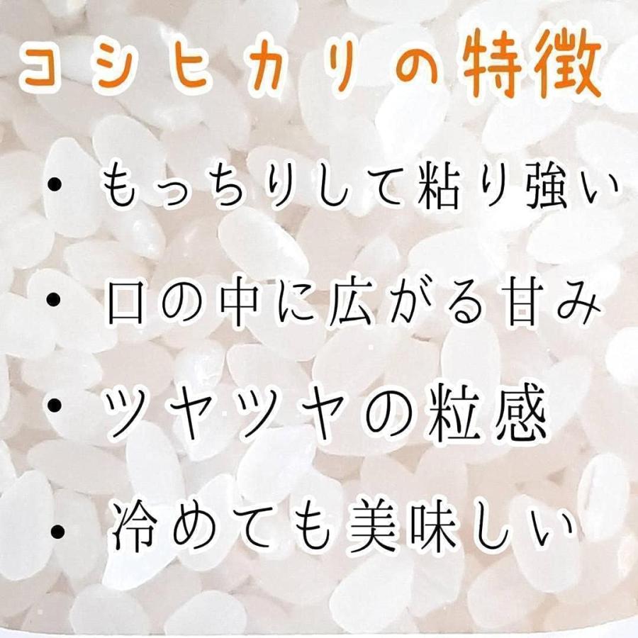 コスパ10】新米 令和7年産 埼玉県産 コシヒカリ ブレンド 白米 10kg